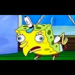 Meet your Posher, Nina